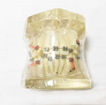 Ortho Metal & Ceramic Bracket Model