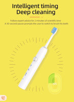 Dental Electric Toothbrush Sonic Toothbrush WPT-005